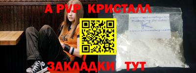 прущие грибы Усть-Джегута