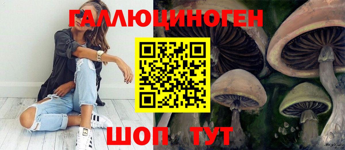Галлюциногенные грибы Psilocybine cubensis Мценск