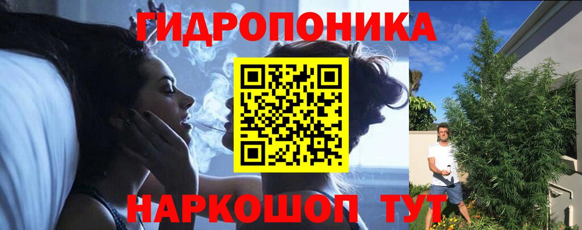 Шишки марихуана семена  Бошки Шишки MAZAR  Конопля марихуана  Вход с VPN  Мценск 